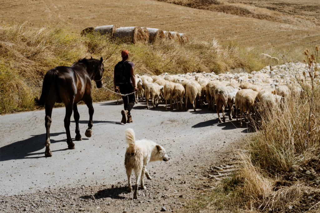 Ontsnap aan de drukte bij Masseria Susafa op het Siciliaanse platteland