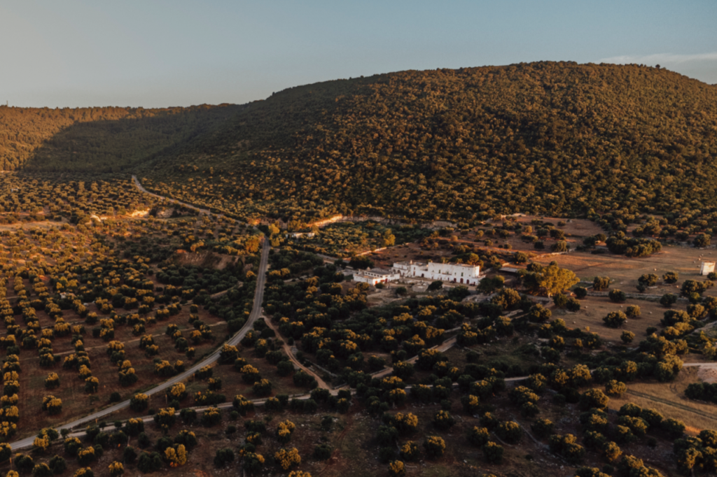 Roadtrip vanaf Bari naar Gallipoli: ontdek authentiek Puglia