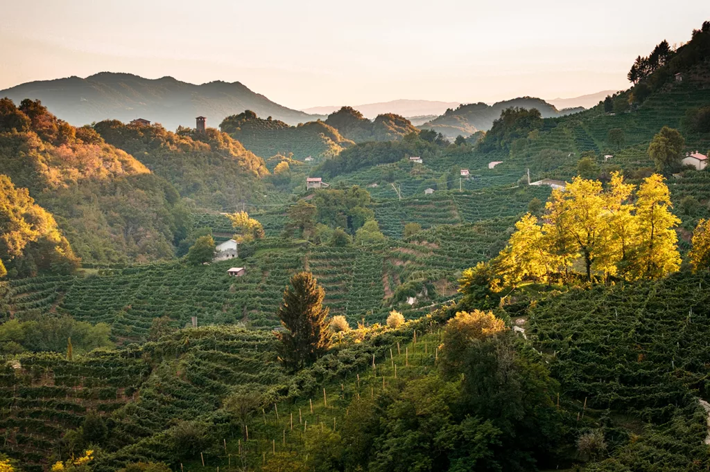Dit wil je zien en doen in de Proseccoheuvels van Veneto