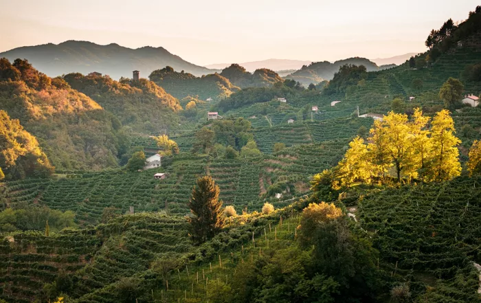 Veneto zien en doen