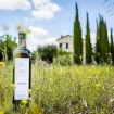 Agriturismo La Coccinella olijfolie