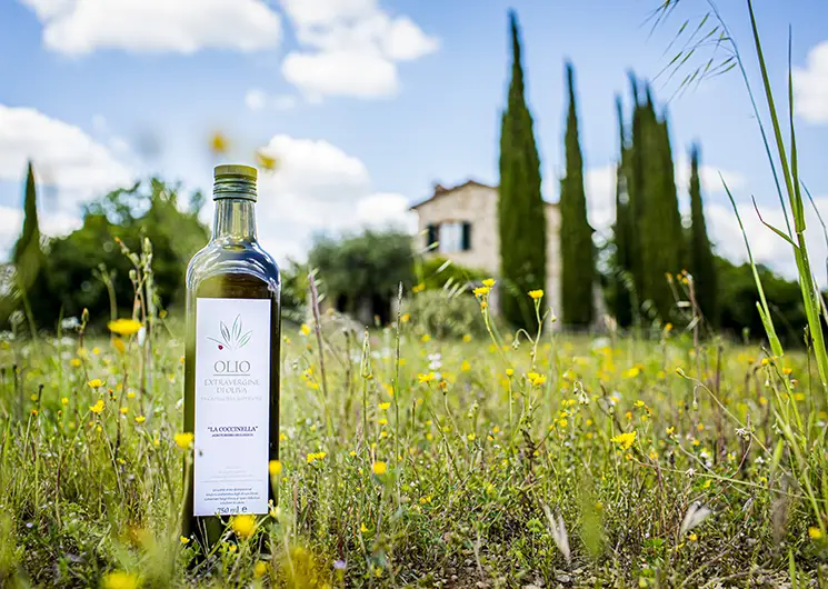 Agriturismo La Coccinella olijfolie