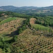 Agriturismo La Coccinella overzicht