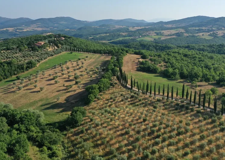 Agriturismo La Coccinella overzicht