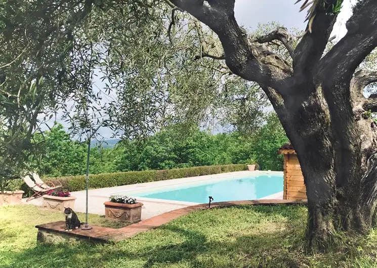 Agriturismo La Coccinella zwembad