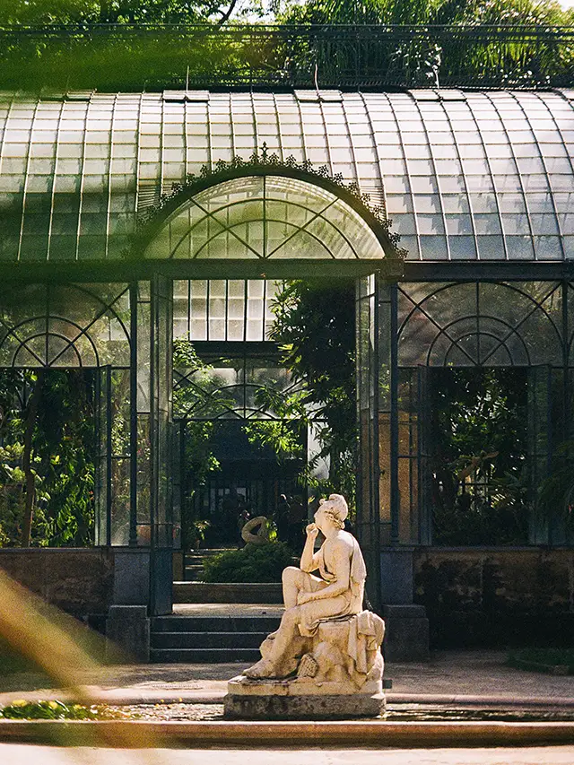 Palermo Orto Botanico