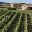 Filodivino uitzicht
