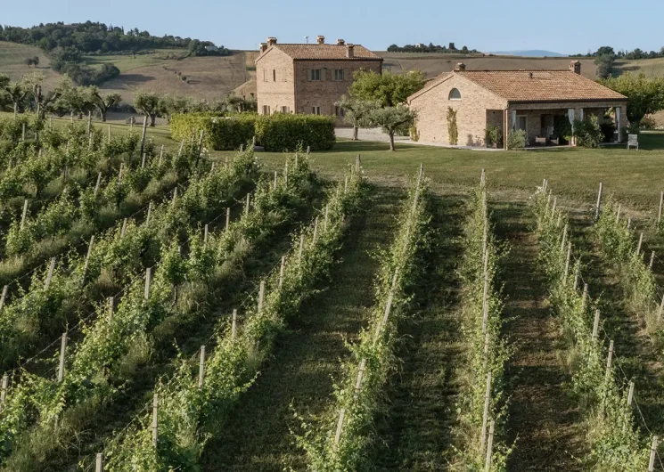 Filodivino uitzicht