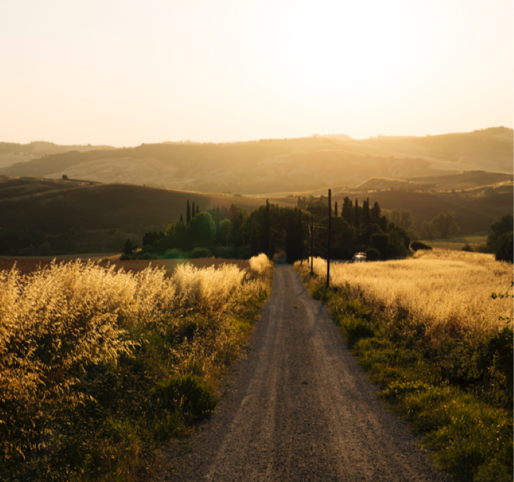 homepage editie 5 de smaak van italië