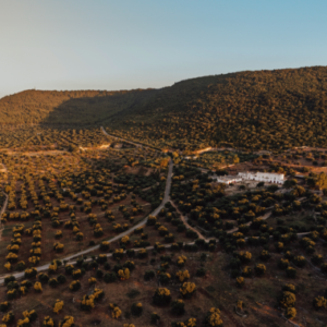 Puglia-treinreis-380×380