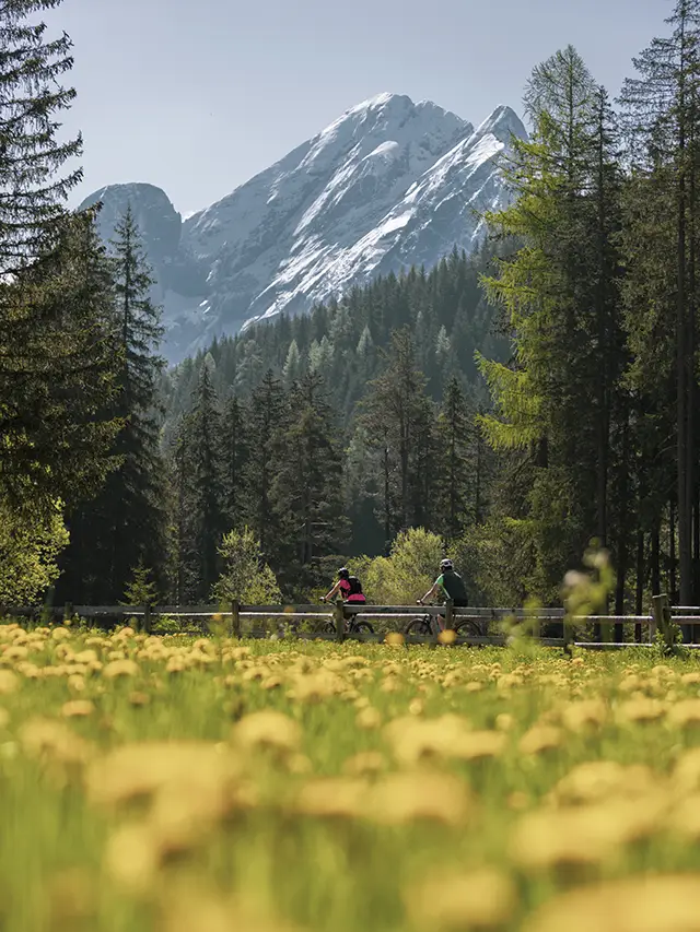 Trentino fietsen