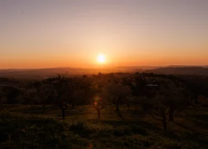 le marche