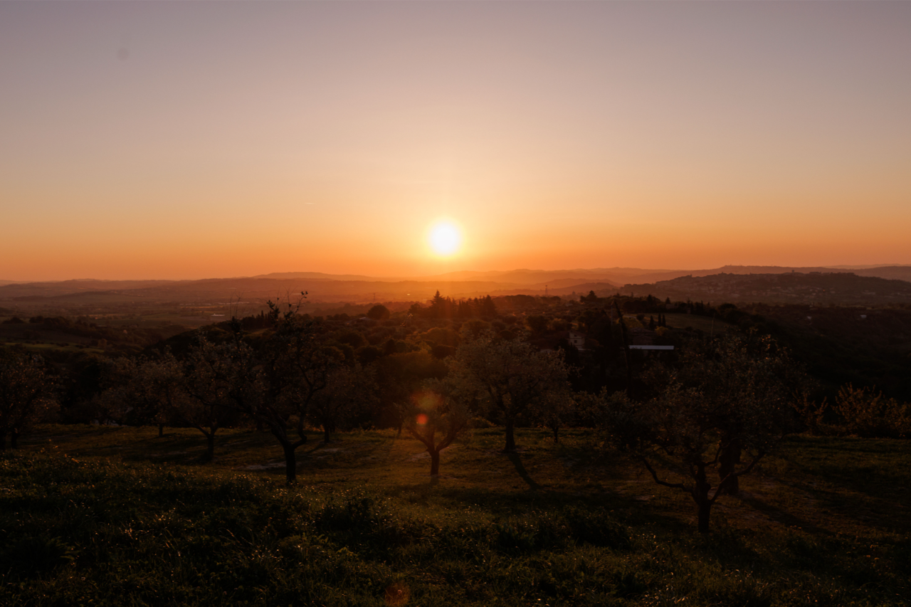 le marche