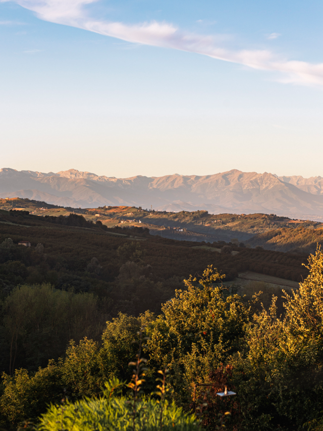 Nazomer piemonte