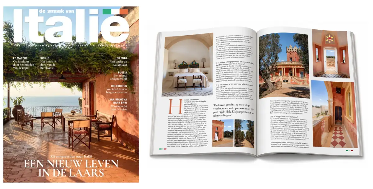 DSVI-cover-spread