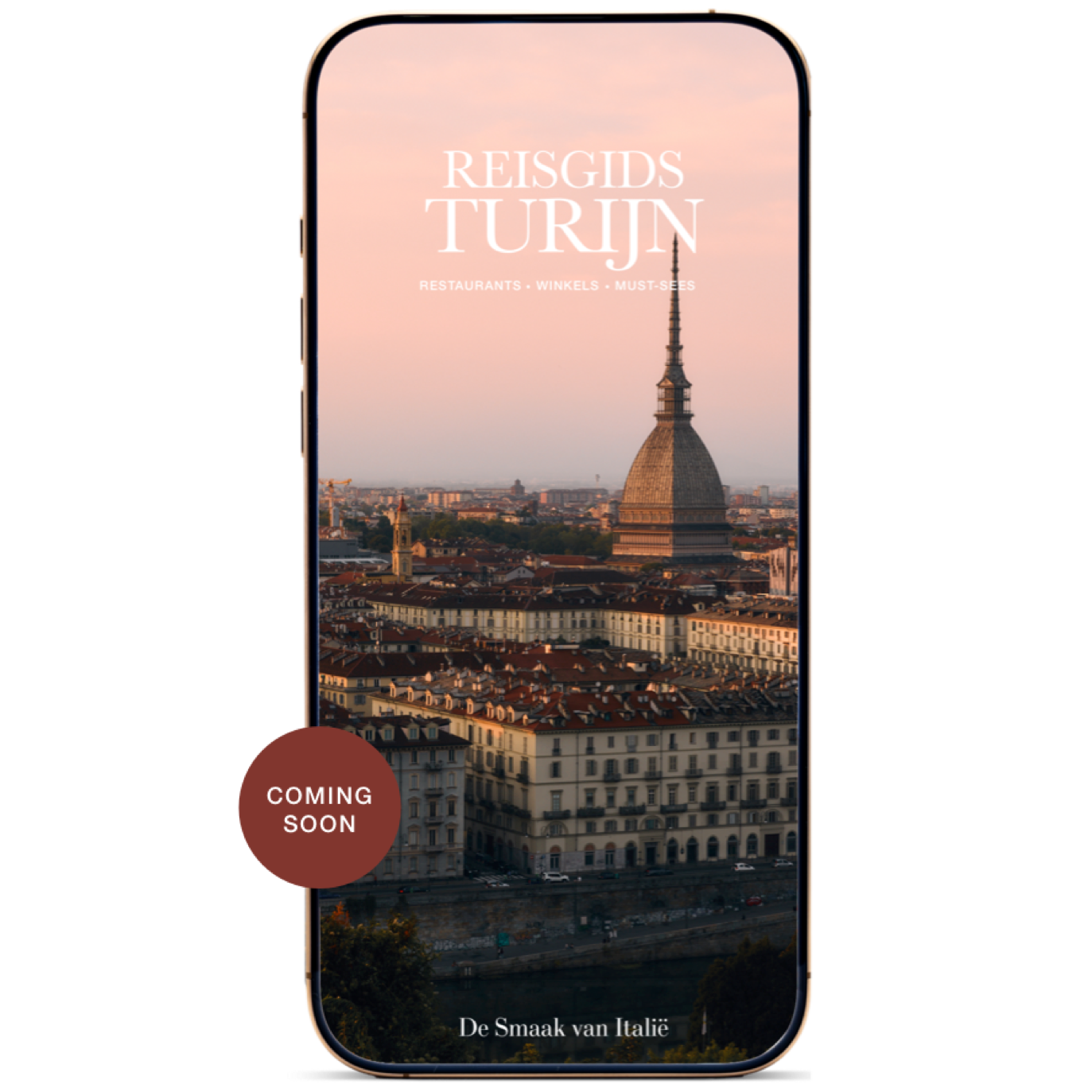 Turijn guide