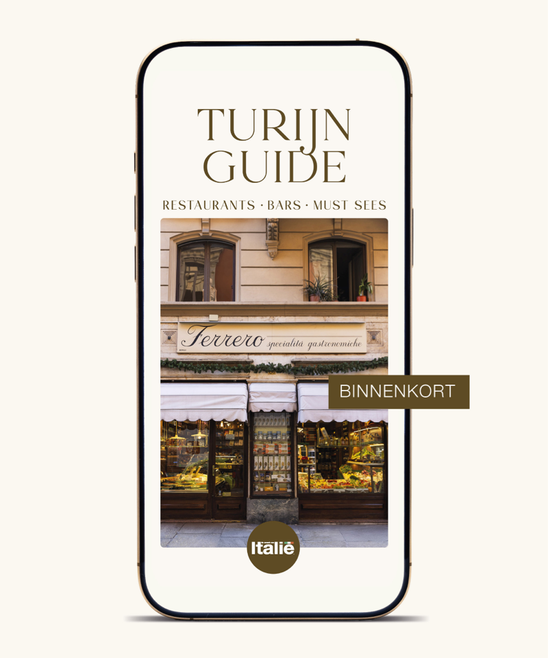 Turijn guide